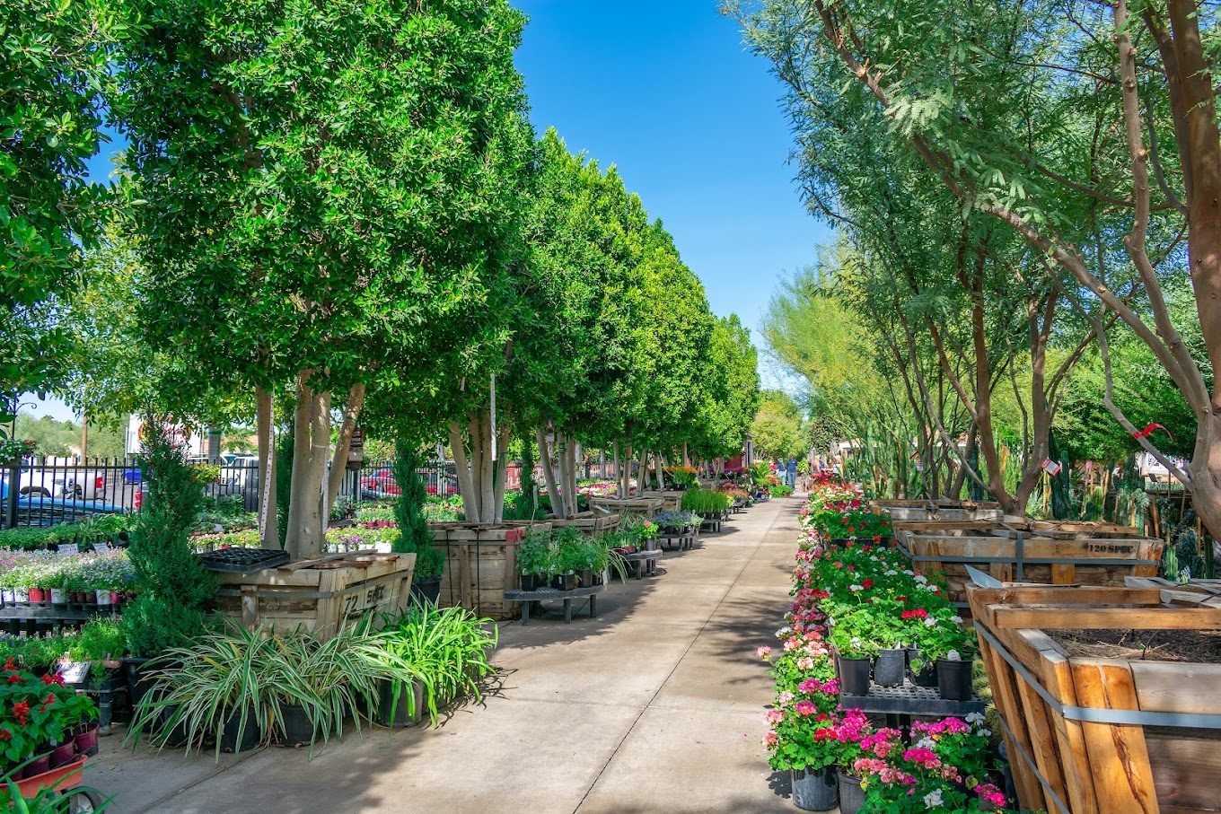 Moon Valley Nurseries, photo 2