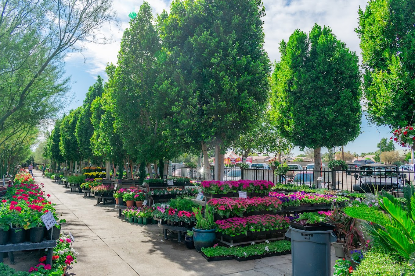 Moon Valley Nurseries, photo 3